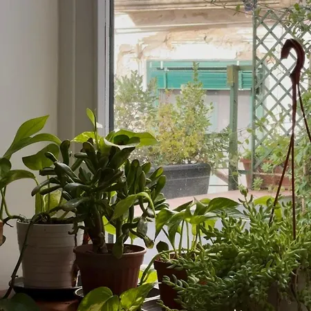 Apartment Tahanan